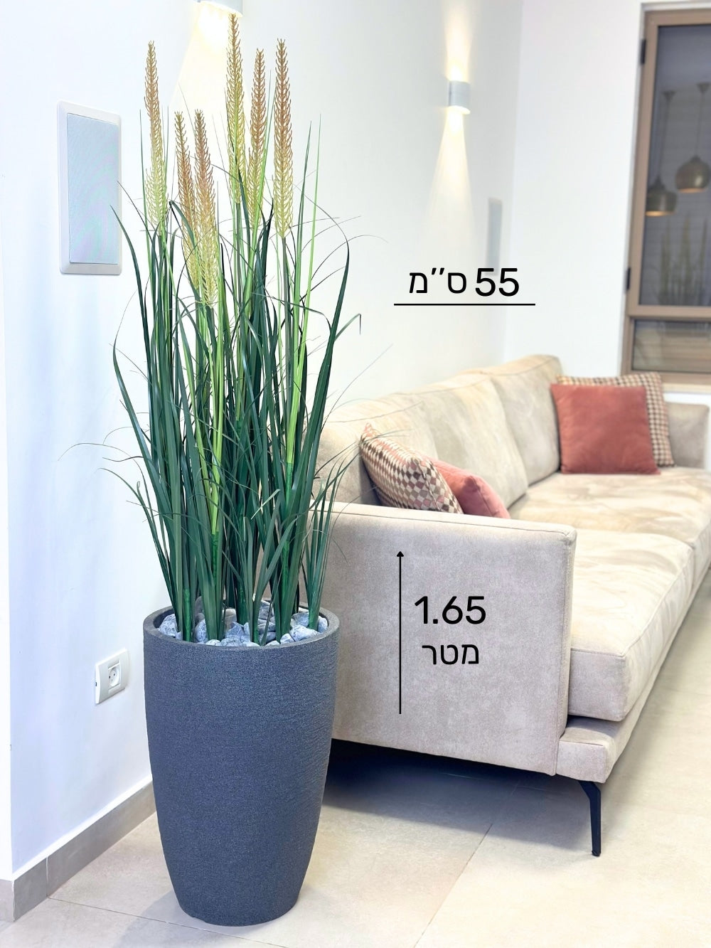 עשבוני זנב שועל | בכד פמילי בינוני | גובה 1.65 מטר