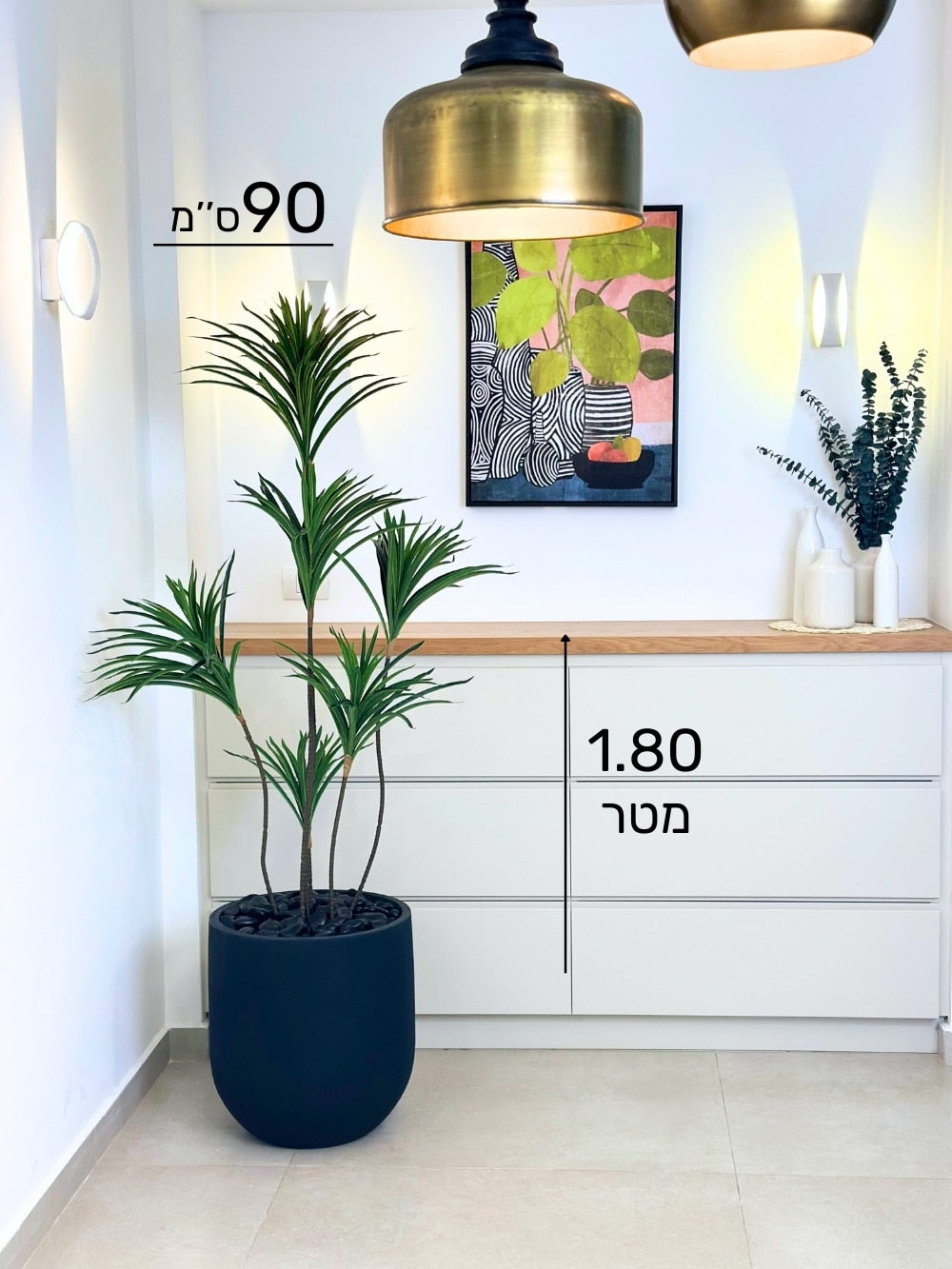 יוקה | כד אגס בינוני | בגובה 1.80 מטר
