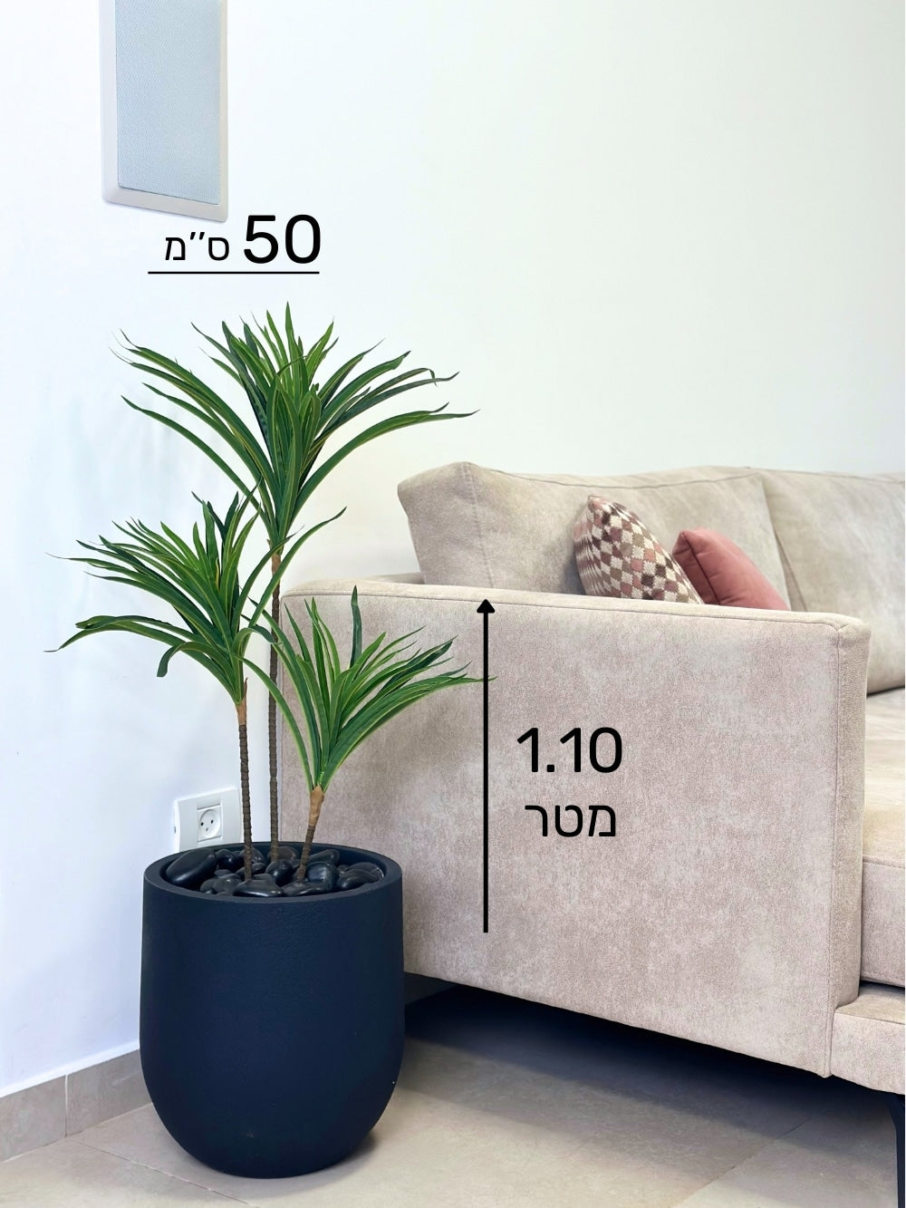 יוקה | כד אגס קטן | בגובה 110 ס''מ