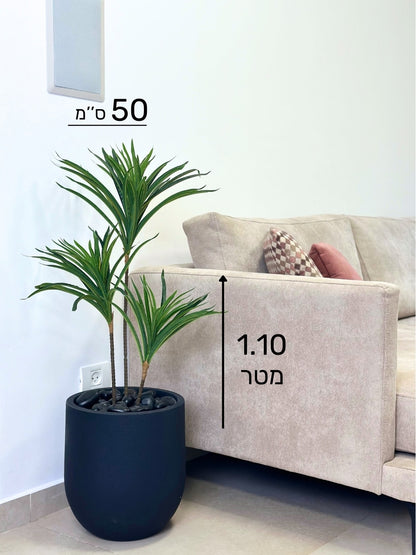 יוקה | כד אגס קטן | בגובה 110 ס''מ