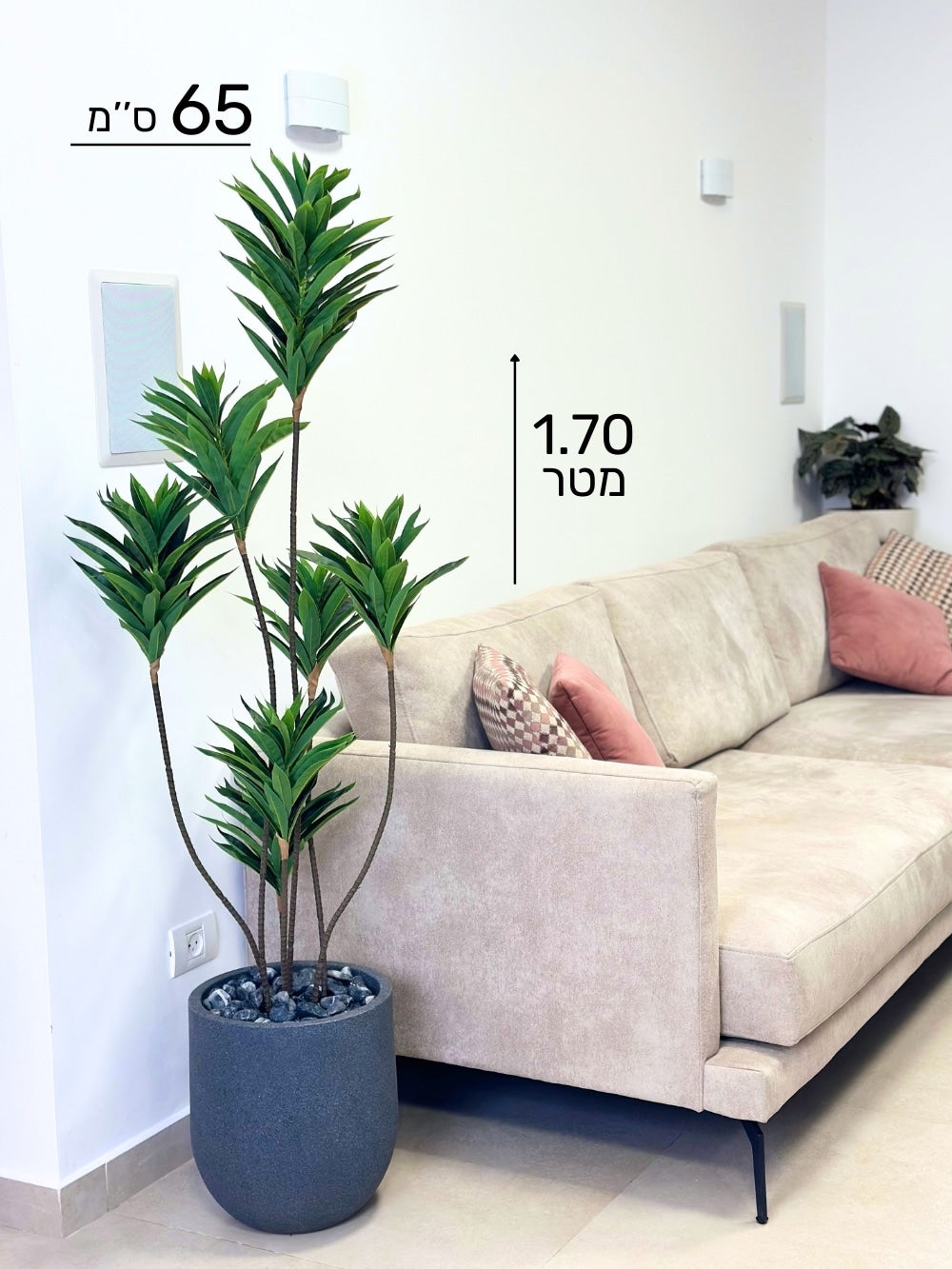 לילי | כד אגס קטן | בגובה 170 ס''מ