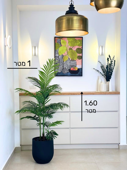 דקל | כדי אגס בינוני וקטן | מחיר לזוג