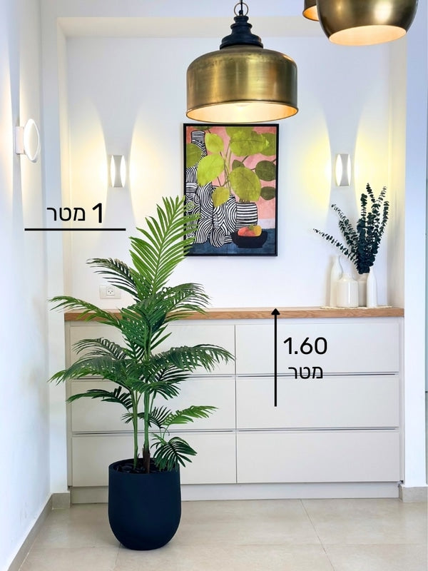 עץ דקל | כד אגס קטן | בגובה 160 ס''מ