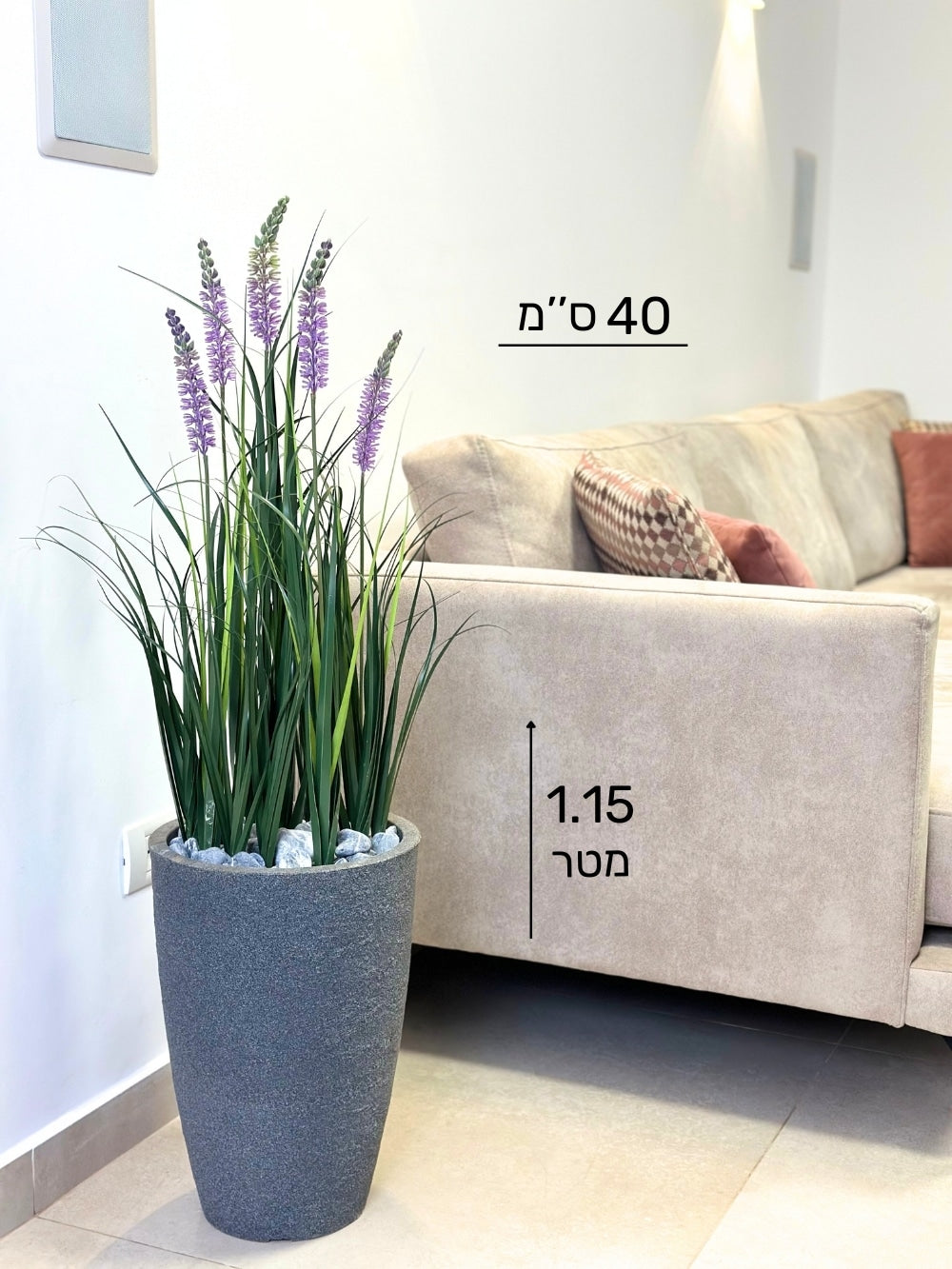 עשבוני לבנדר קטן | בכד פמילי קטן | גובה 1.15 מטר