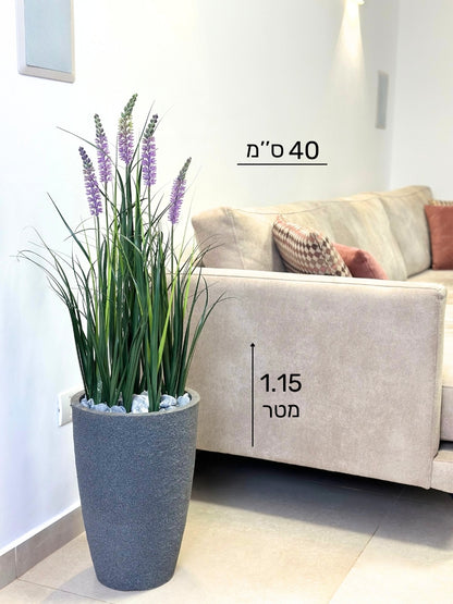 עשבוני לבנדר קטן | בכד פמילי קטן | גובה 1.15 מטר