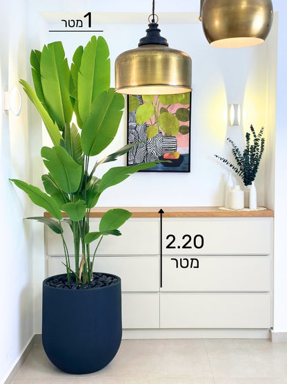 ציפור גן עדן | כדי אגס גדול, בינוני וקטן | מחיר לשלישייה