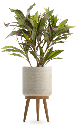 צמחים מלאכותיים יחודיים של גרדן מרקט