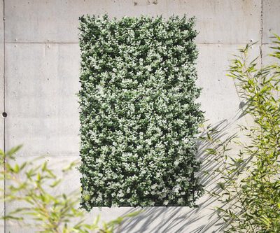 קיר ירוק - עמיד בשמש | פרח לבן | 100/100 ס״מ גרדן מרקט a185329f6dadacc4401a153e83b6500e