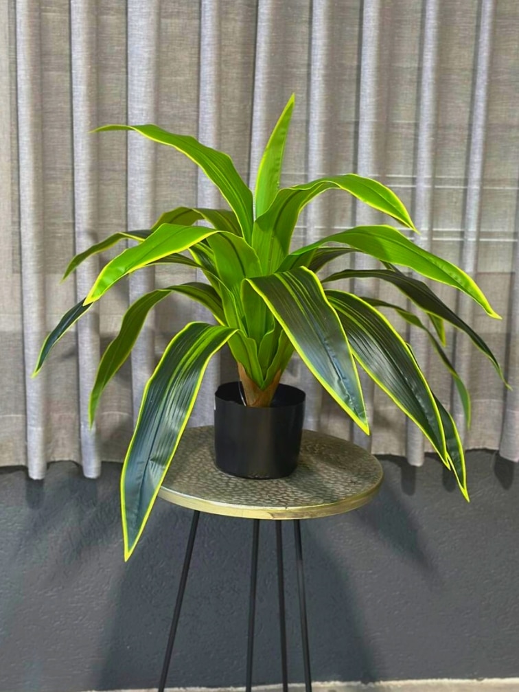 שיח דרצנה מלאכותי קטן | גובה 63 ס"מ גרדן מרקט 27 סמ 75 1