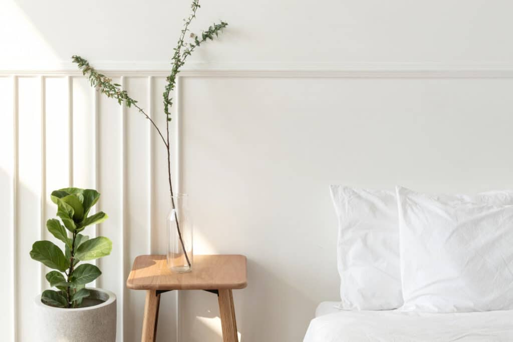 צמחייה מינימלית בחדר שינה