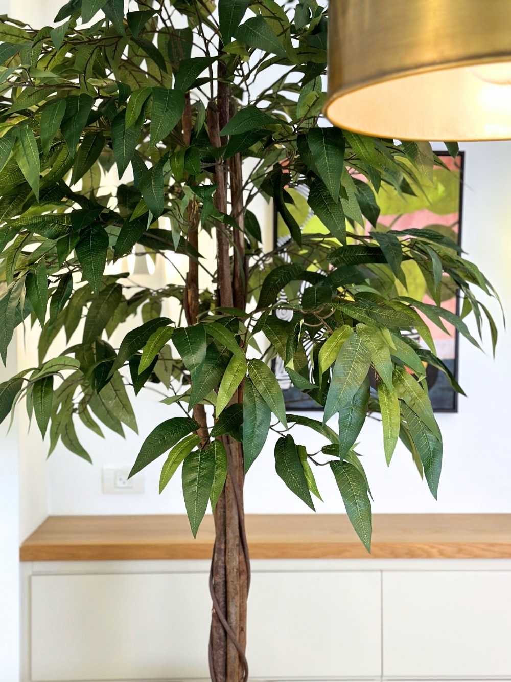 עץ מנגו | גובה 180 ס''מ גרדן מרקט 43