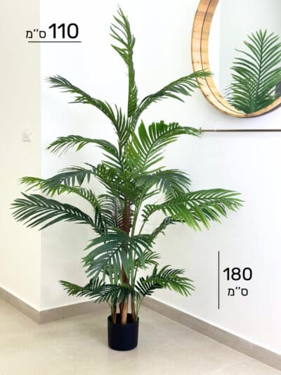 עץ דקל | גובה 180 ס''מ גרדן מרקט 51