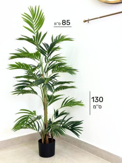 עץ דקל | גובה 130 ס''מ גרדן מרקט דקל דגם 420 (2)