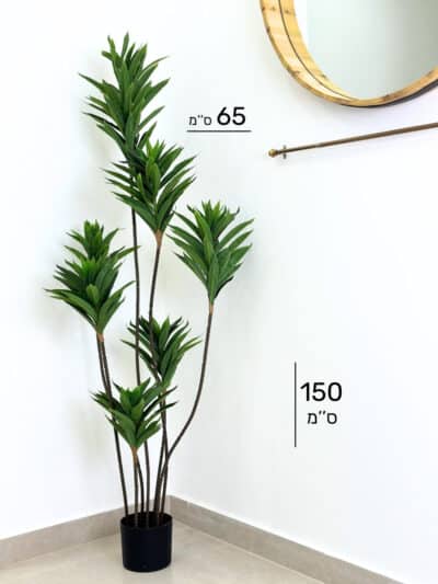 עץ לילי | גובה 150 ס''מ גרדן מרקט לילי דגם 430 (2)
