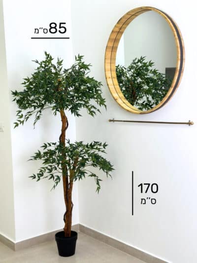 עץ בונסאי | גובה 170 ס''מ גרדן מרקט עץ בונסאי גובה 170 ס''מ (2)